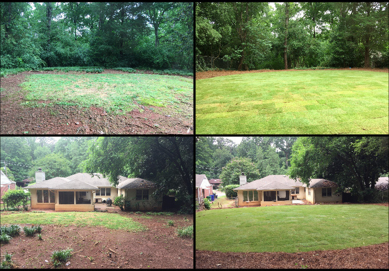 Druid Hills Back Yard Renovation