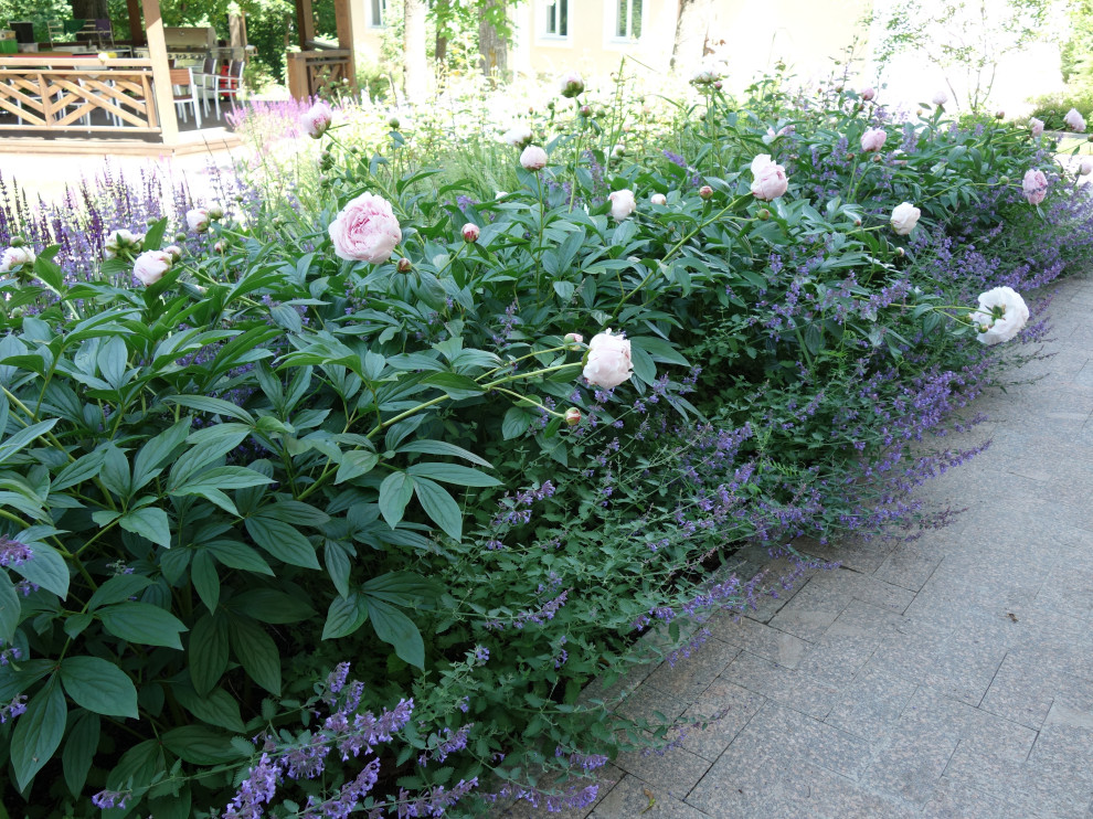 Частный сад