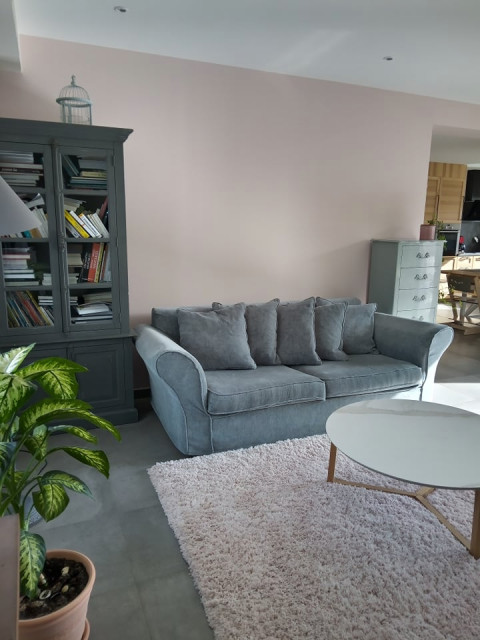 Salon Rose Poudr&eacute; contemporary-living-room
