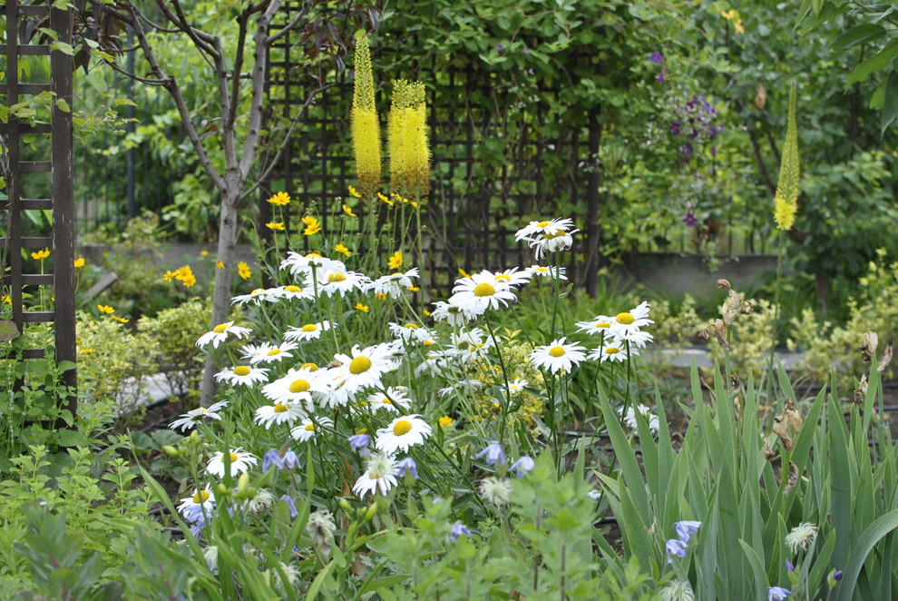 Сад над морем