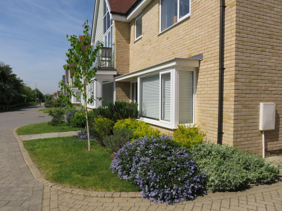 Front Garden, Essex