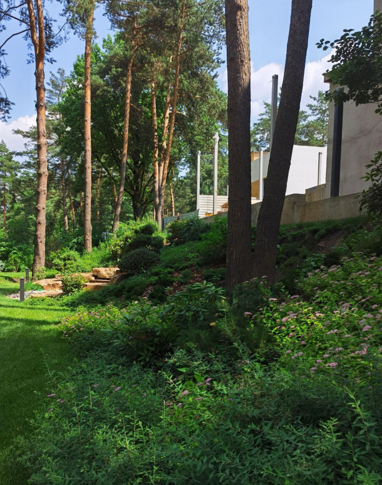 Суханово парк