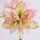 i_fleurs
