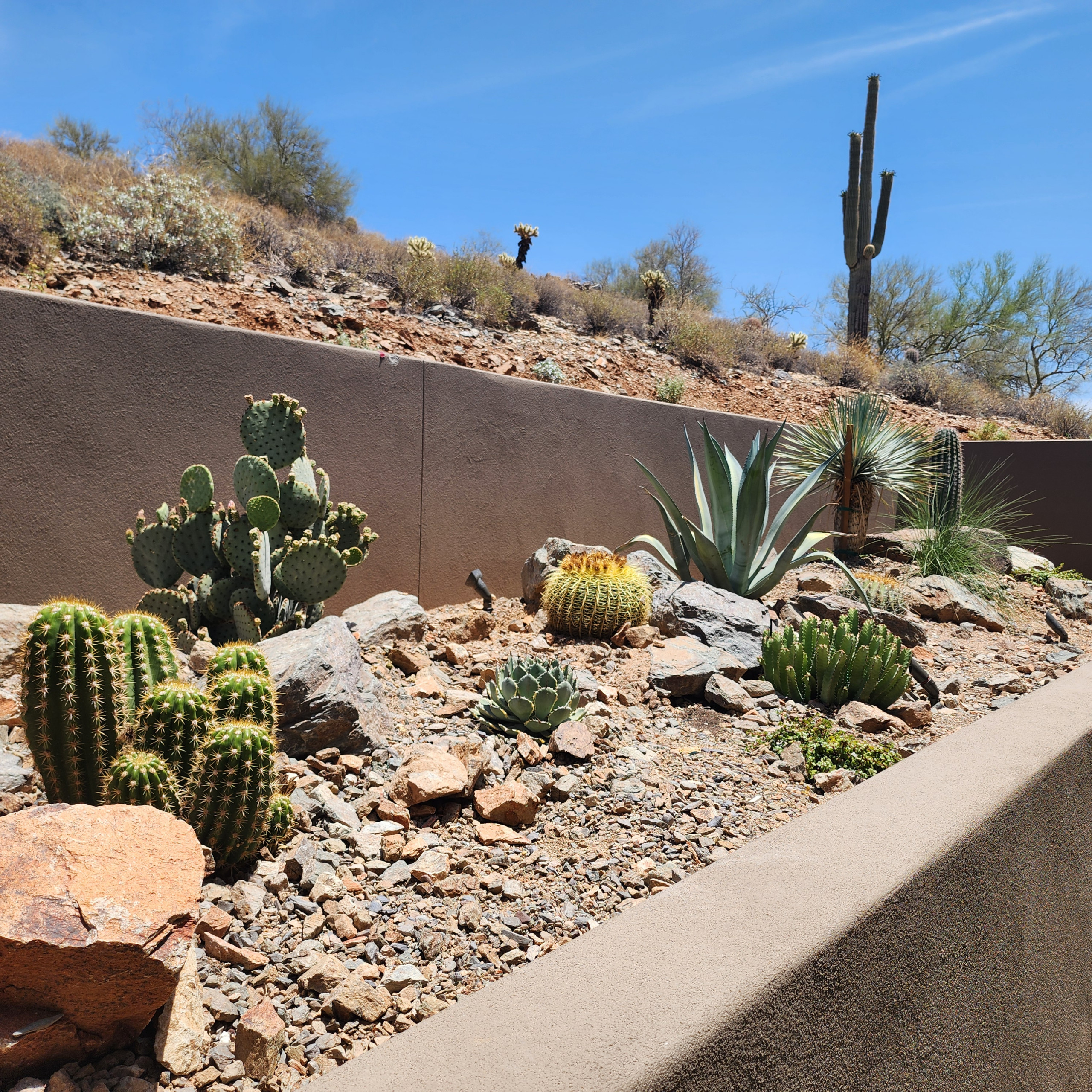 Cave Creek