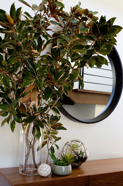 Entryway contemporary-entre