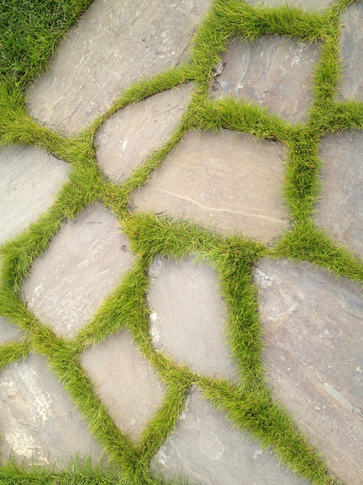 К/П "Варежки"