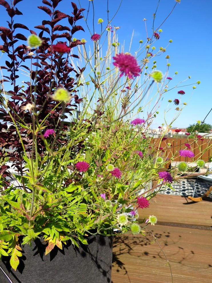 Moderne Terrasse in Berlin