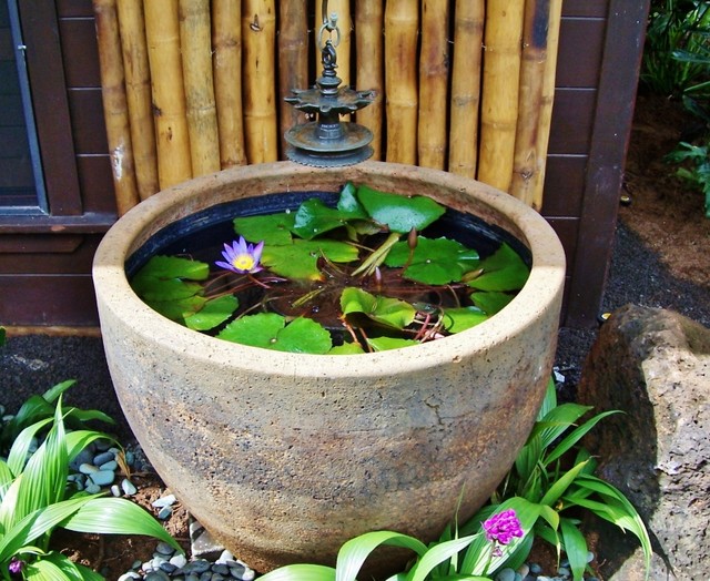 Water Garden Bowl - The Home Garden