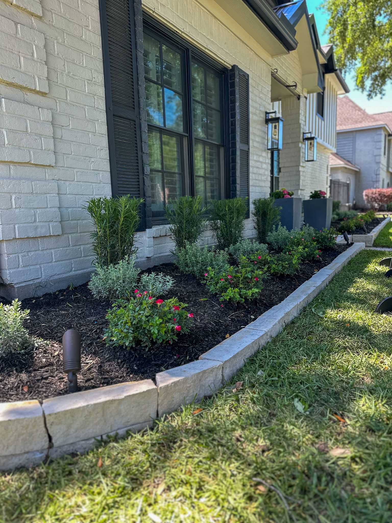 Front and Back yard makeover in Del Monte HTX
