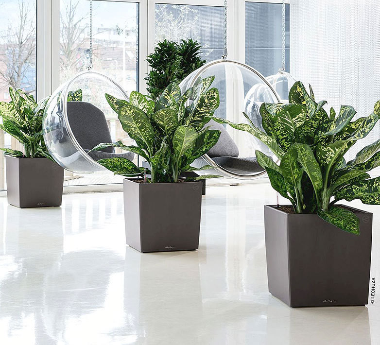 Новое в глянце!