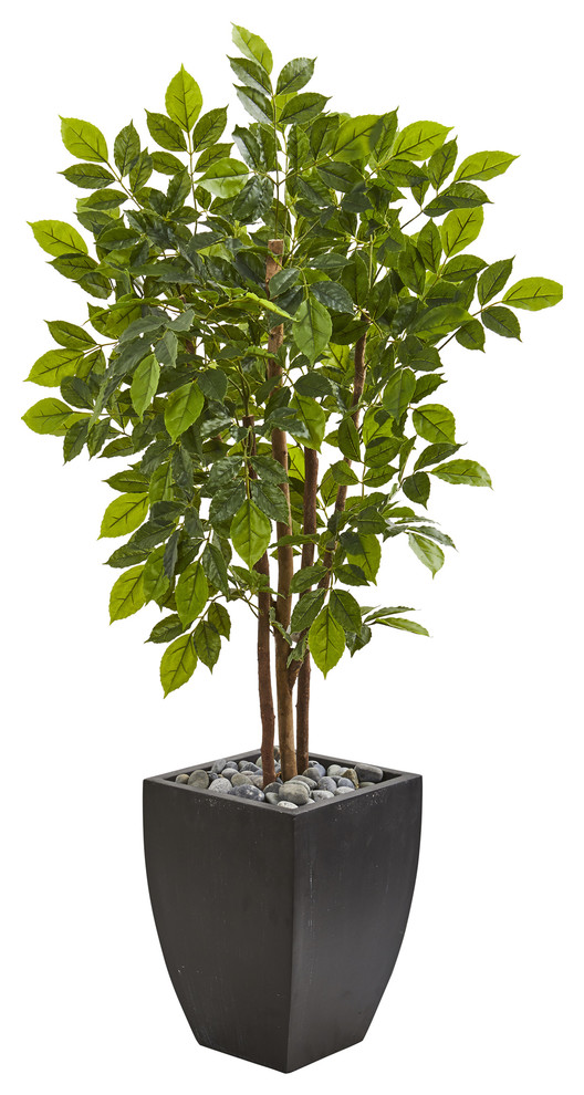 57" River Birch Artificial Tree, Black Planter Transitional