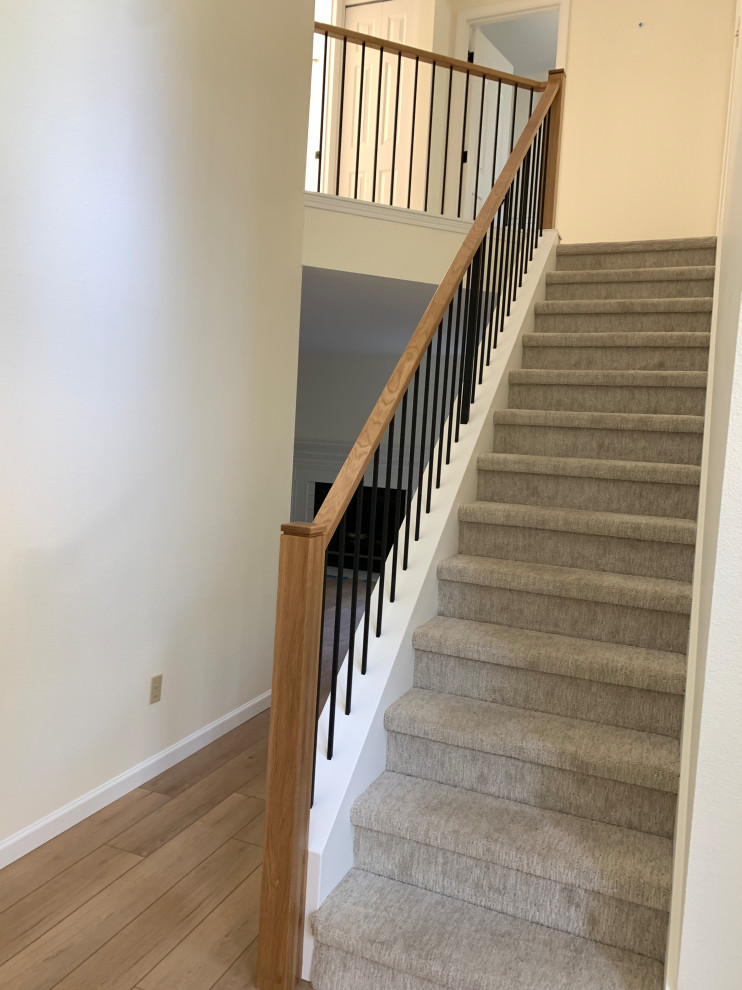 Свежая идея для дизайна: прямая лестница среднего размера в стиле модернизм с ступенями с ковровым покрытием, ковровыми подступенками и перилами из смешанных материалов - отличное фото интерьера
