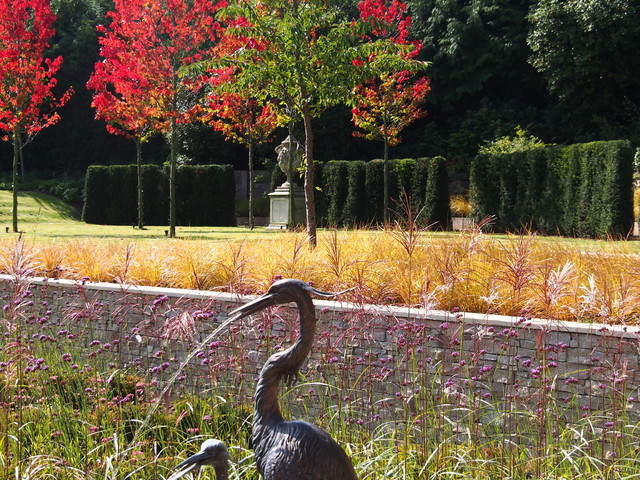 Wentworth - Jard&iacute;n klassisch-modern-garten