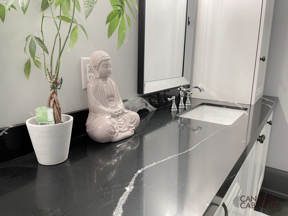Inspiration for a transitional home design remodel in Toronto