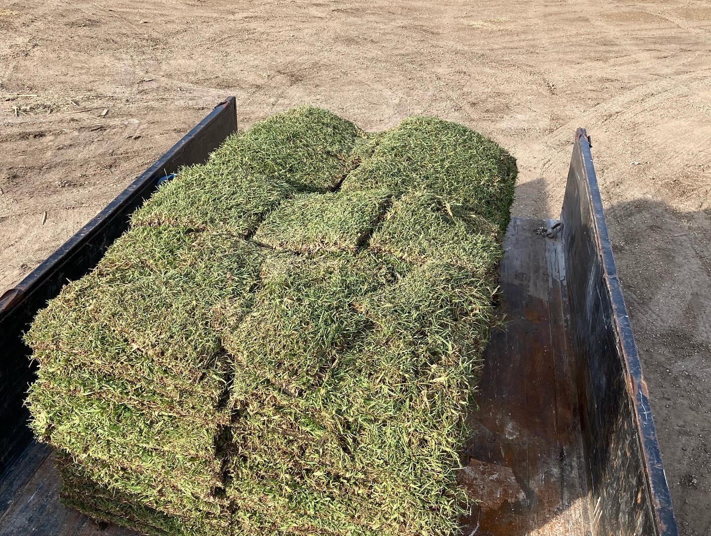 Front Lawn Sod