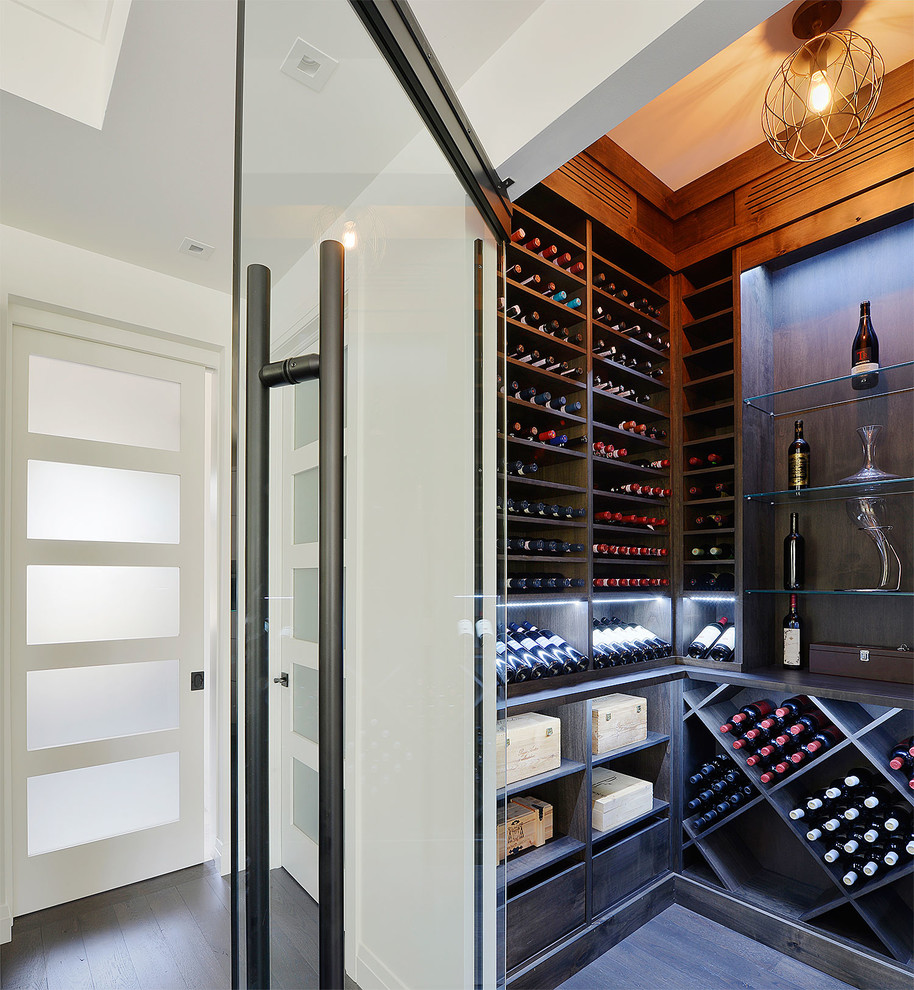 Mid-sized contemporary wine cellar in Ottawa with dark hardwood floors and storage racks.