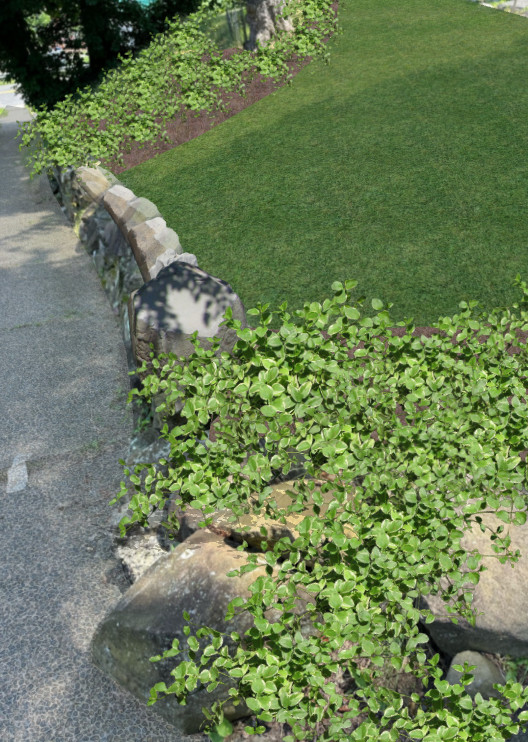 Creating Curb Appeal