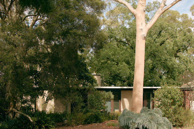 Ivanhoe House contemporary-exterior