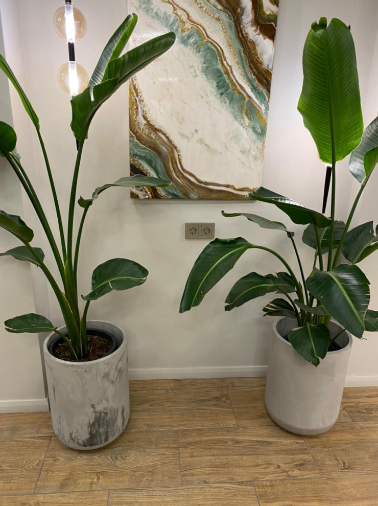 Фитнес клуб Латза