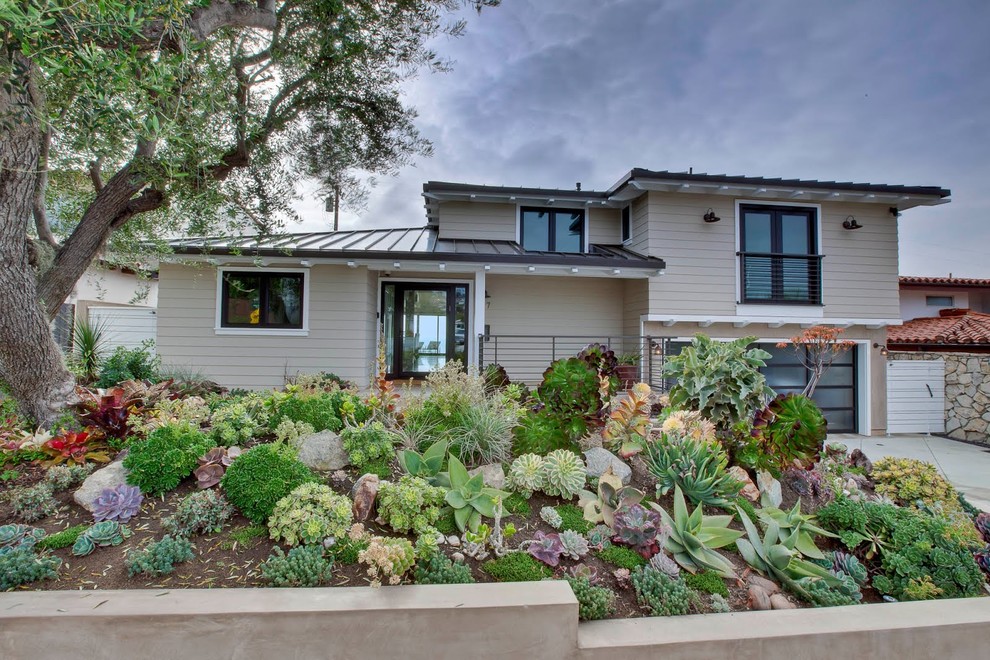 This is an example of a contemporary front yard full sun xeriscape in Los Angeles.