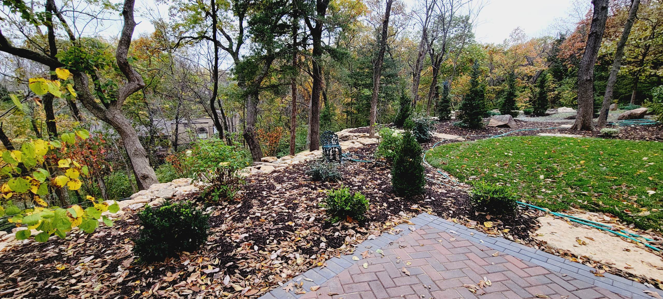 Woodland Restoration