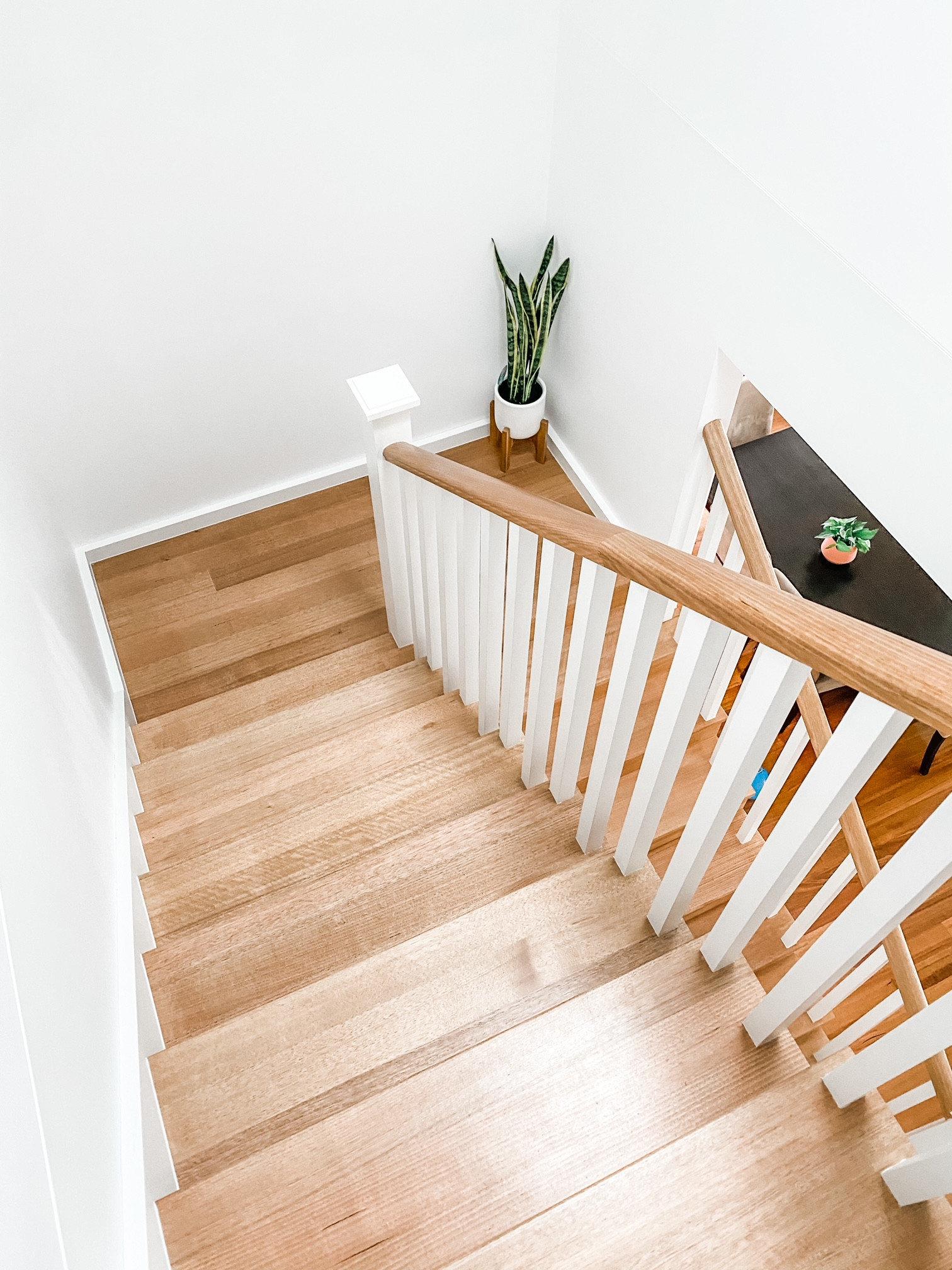 Blackburn North – Hampton-Inspired, Light-Filled & Energy Efficient