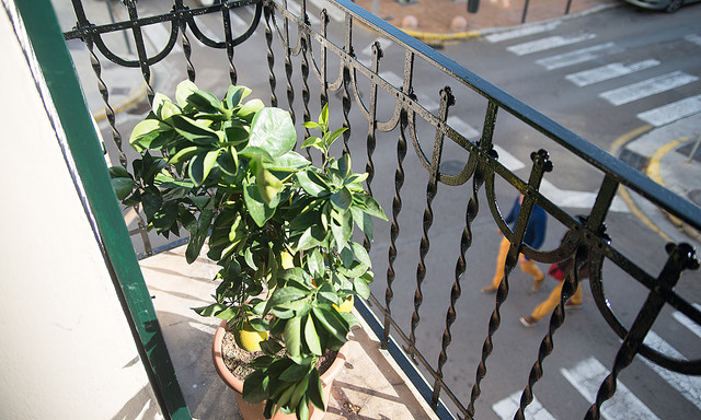 CASA MAIORCA | 60 MQ coastal-balcony