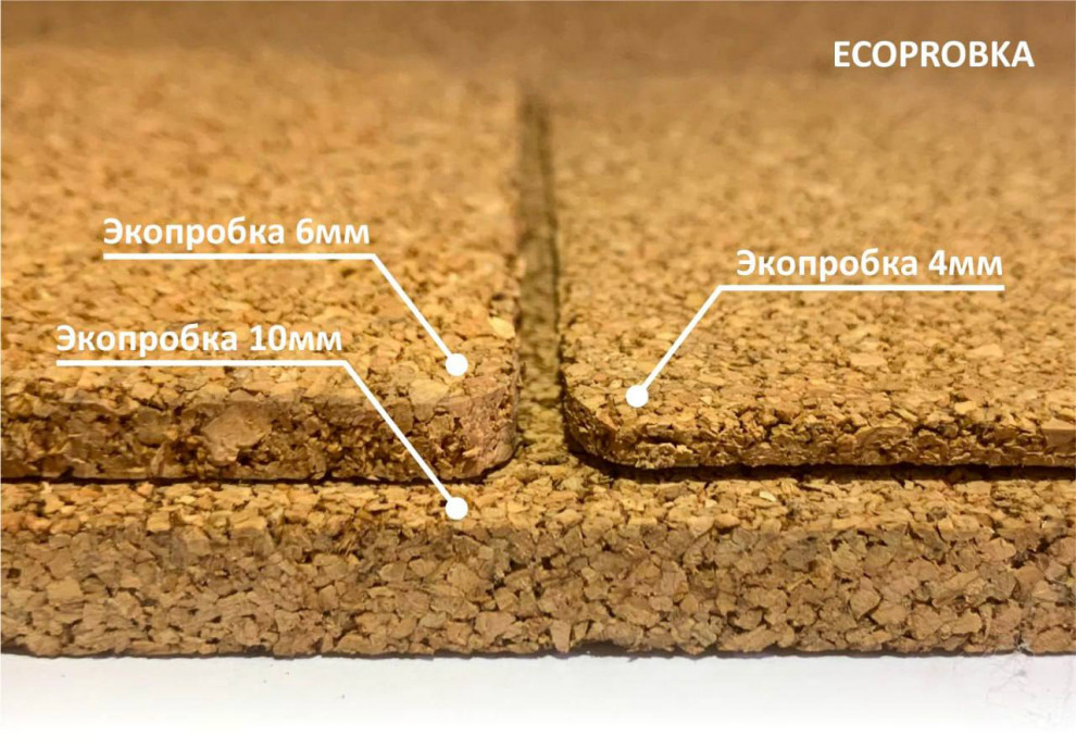 Компенсатор