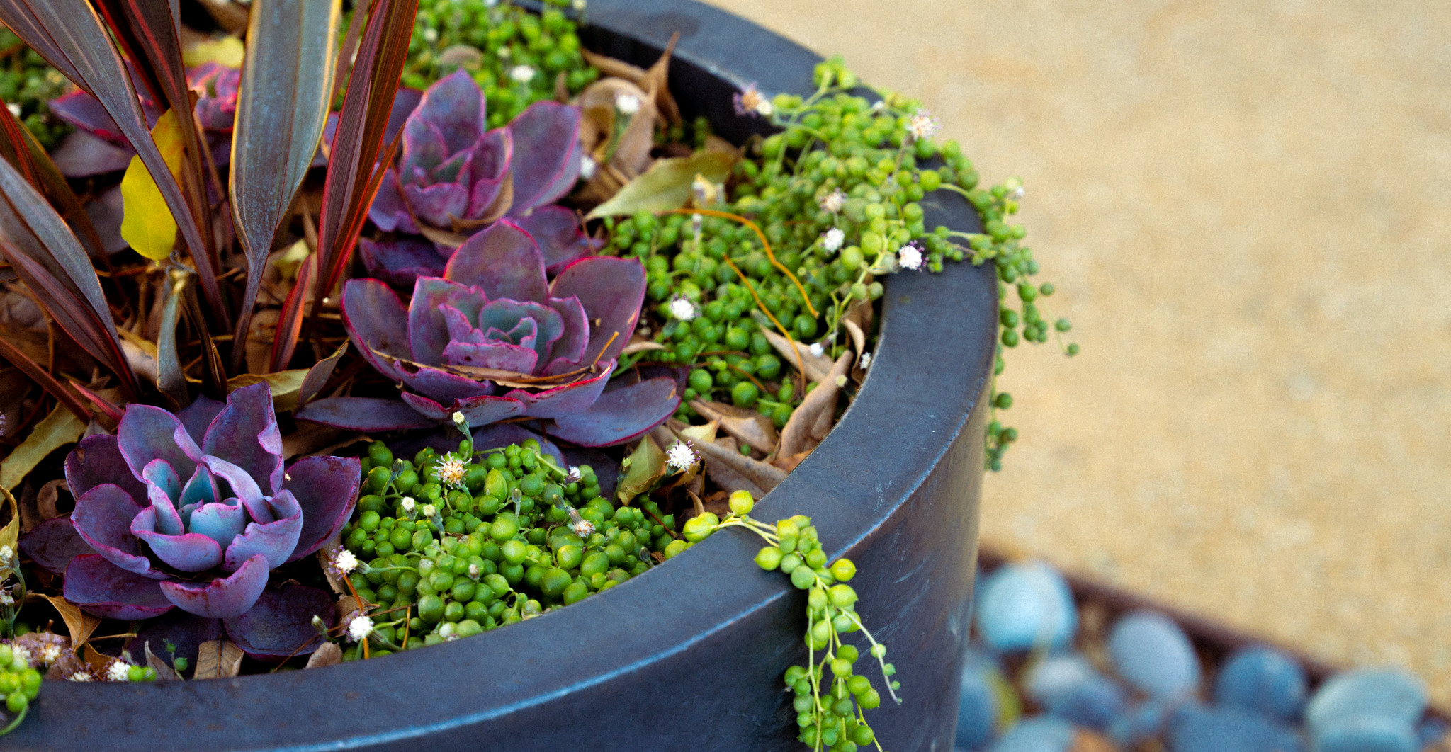 Small Cottage Garden