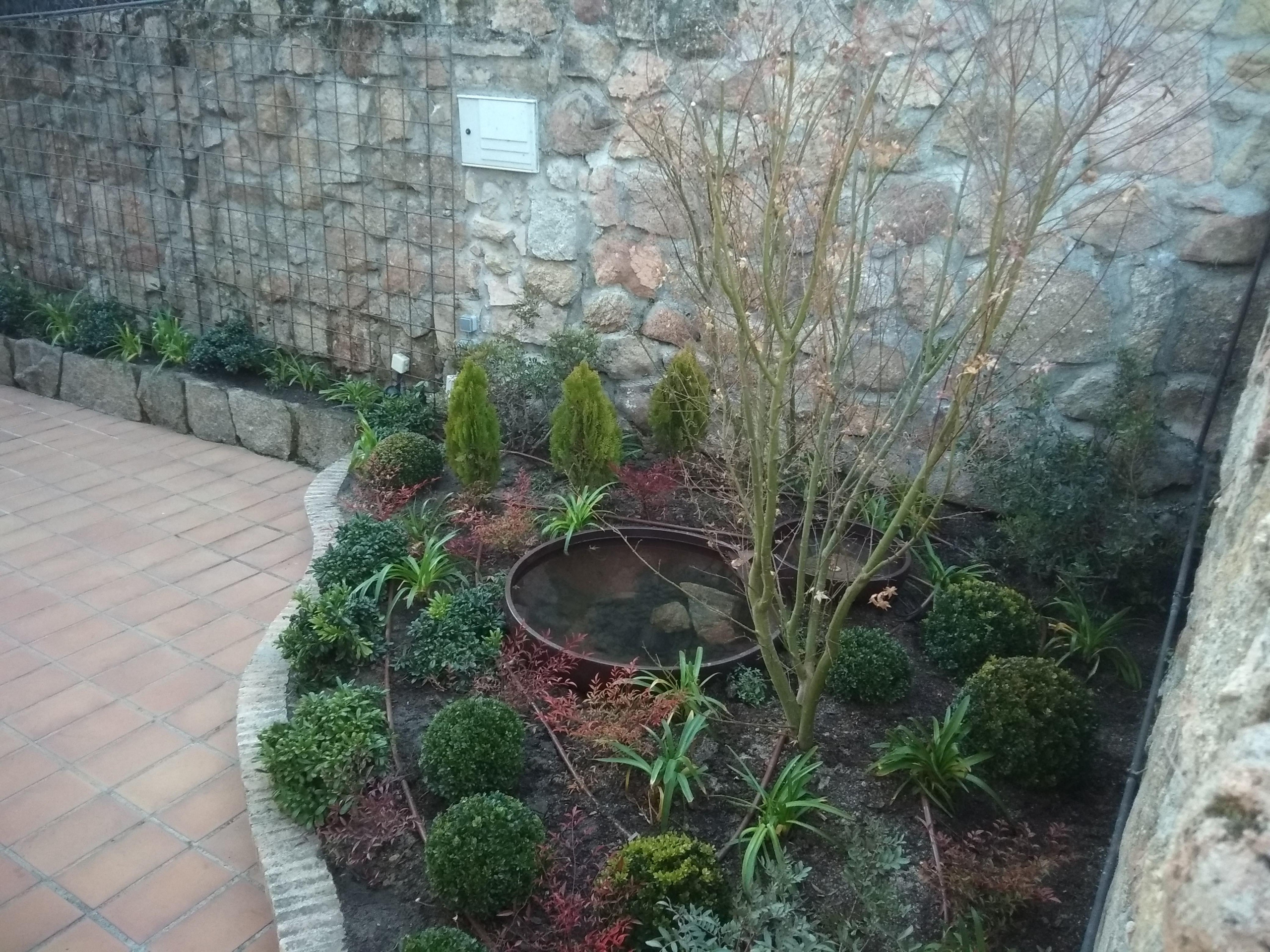 Dando color a viejos jardines