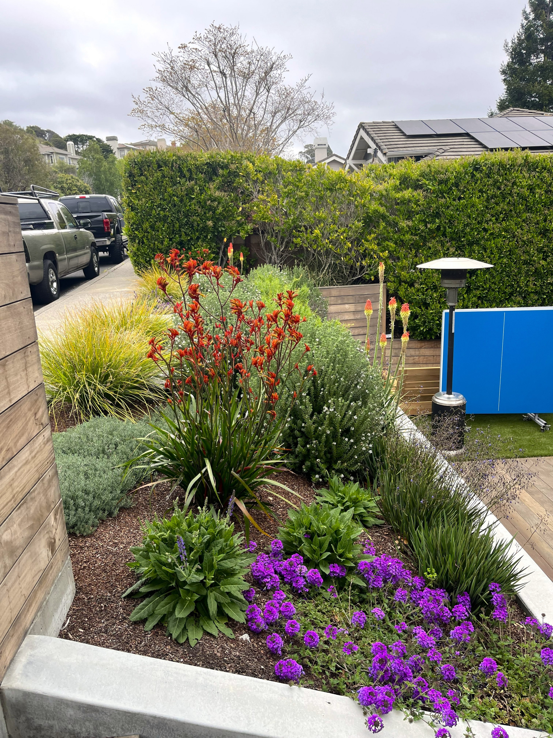 Curb Appeal and Front Yards