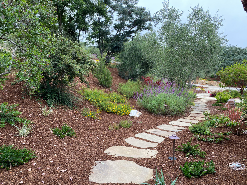 Photo of an expansive mediterranean back xeriscape full sun garden for summer in San Diego with a garden path and natural stone paving.