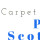 1st Carpet Cleaning Scottsdale AZ