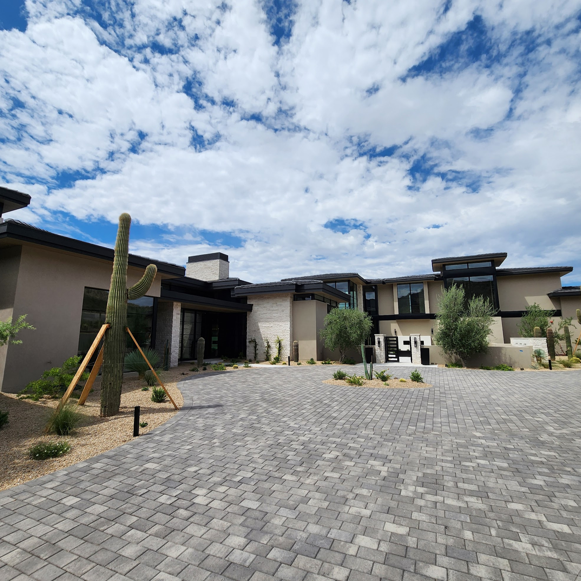 Silverleaf III