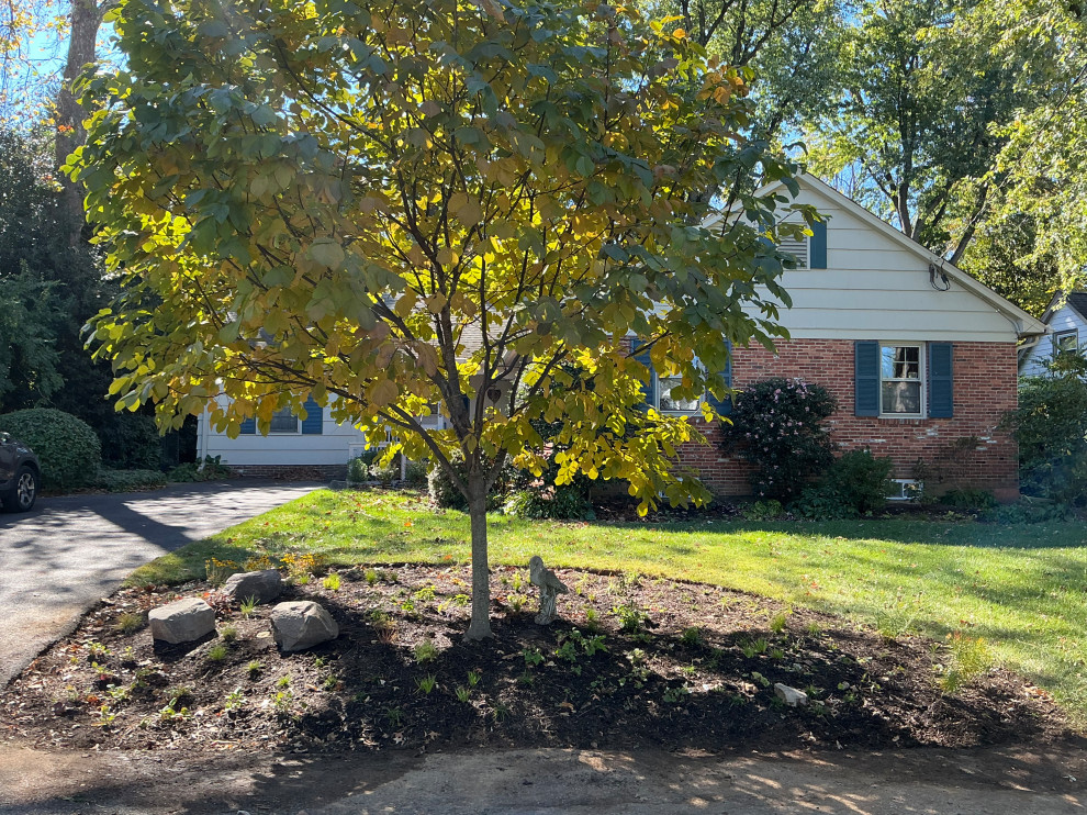 Front Yard Revival: Restoring Curbside Elegance with Native Plants and purpose