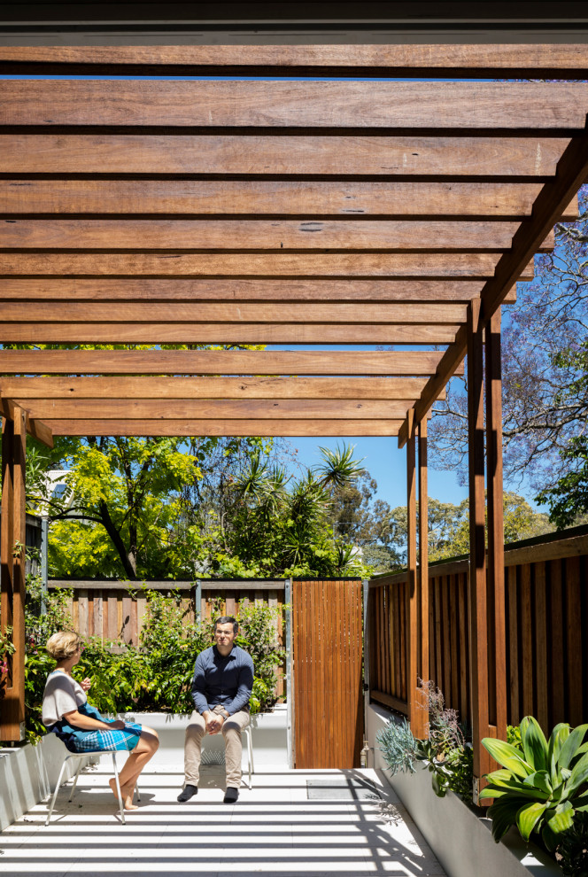 Photo of a small contemporary backyard patio in Sydney with a container garden, natural stone pavers and a pergola.