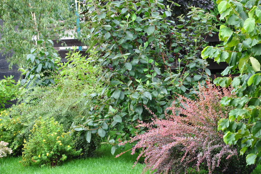 кп "Мелоди" - Уход за садом - 100% качество