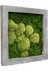 Фитокартины