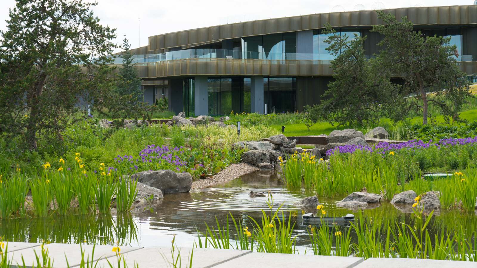 Природный сад. Жуковка XXI век. 2017-2018 гг.