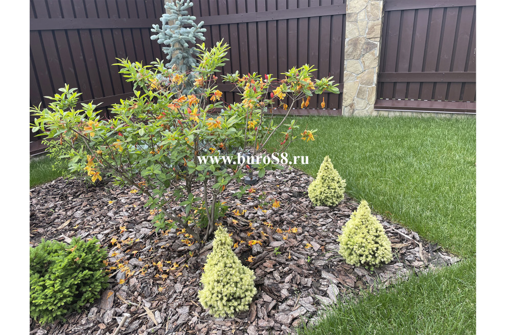 Коттеджный посёлок "Руза Фэмили Парк". Ландшафтное проектирование