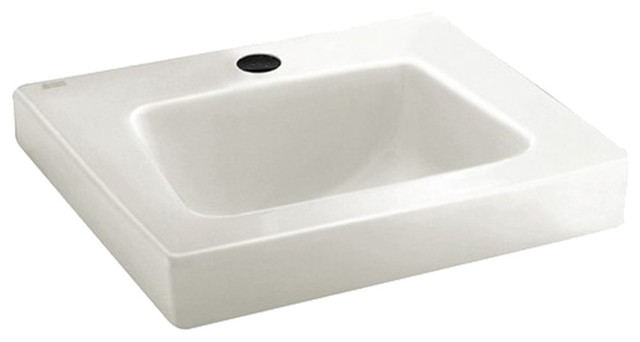 Roxalyn 20" Wall Mounted Bathroom Sink with Single Faucet Hole in White