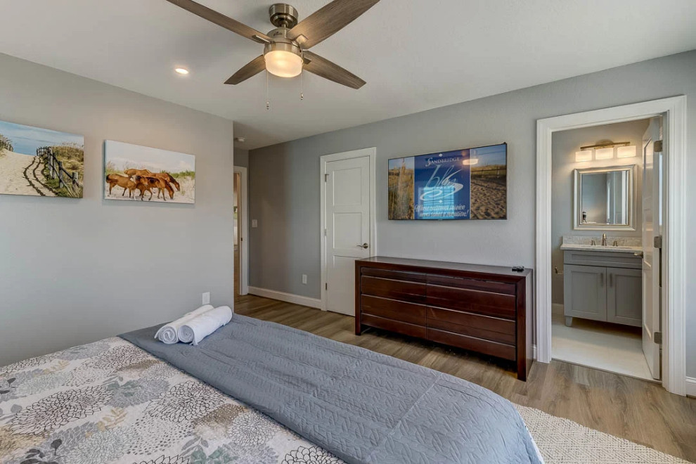 Dolphin Watch (2023)