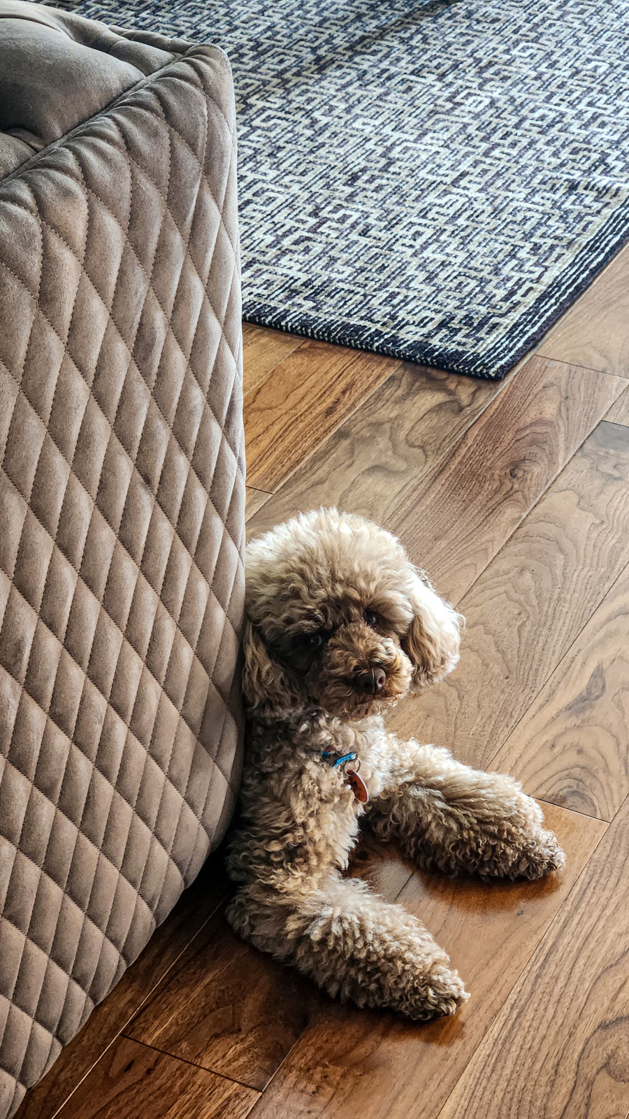 Американская классика