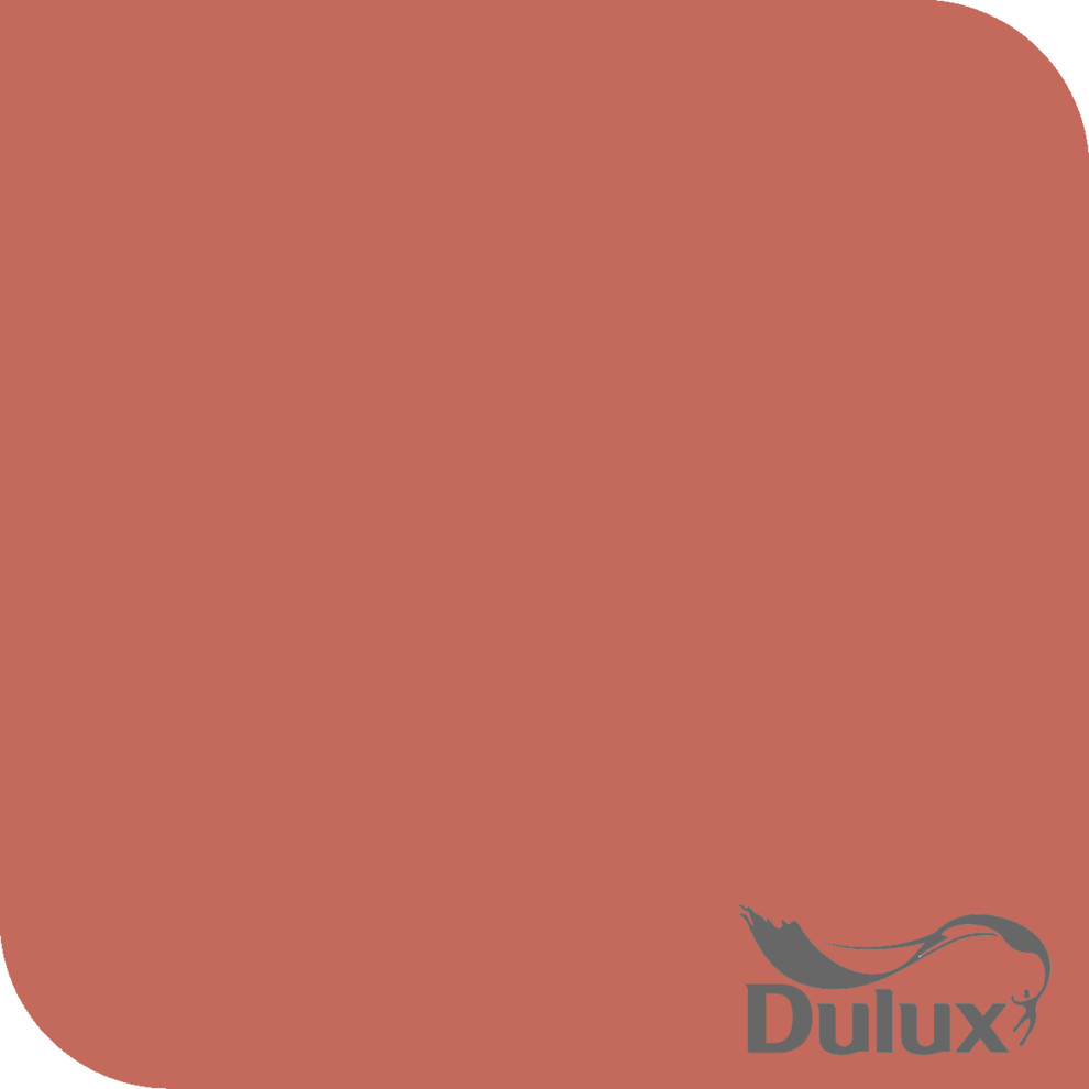Dulux Salsa Mix