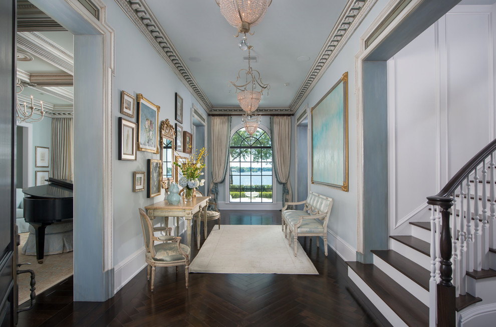 Inspiration for a large traditional foyer in Orlando with blue walls and dark hardwood floors.