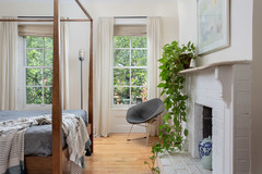 High-Impact Houseplants for First-Timers