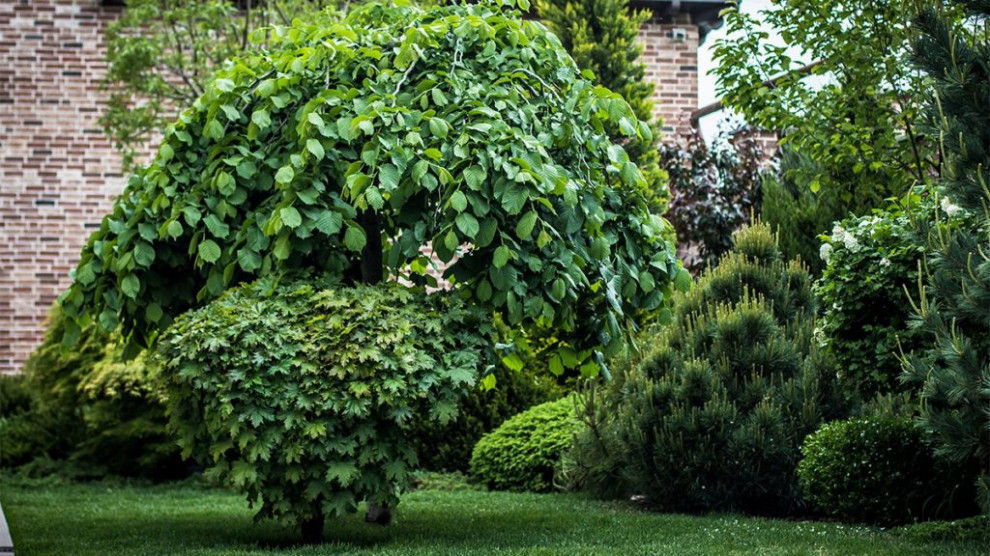 Частный дом