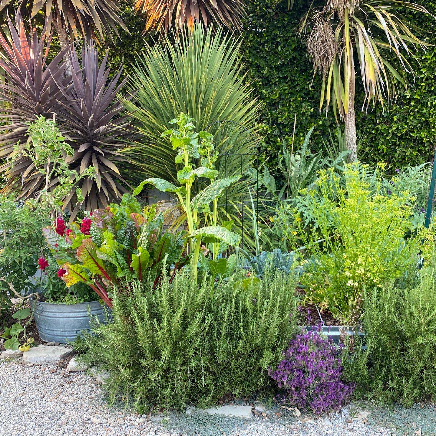 San Pedro, CA - Rustic Kitchen Garden