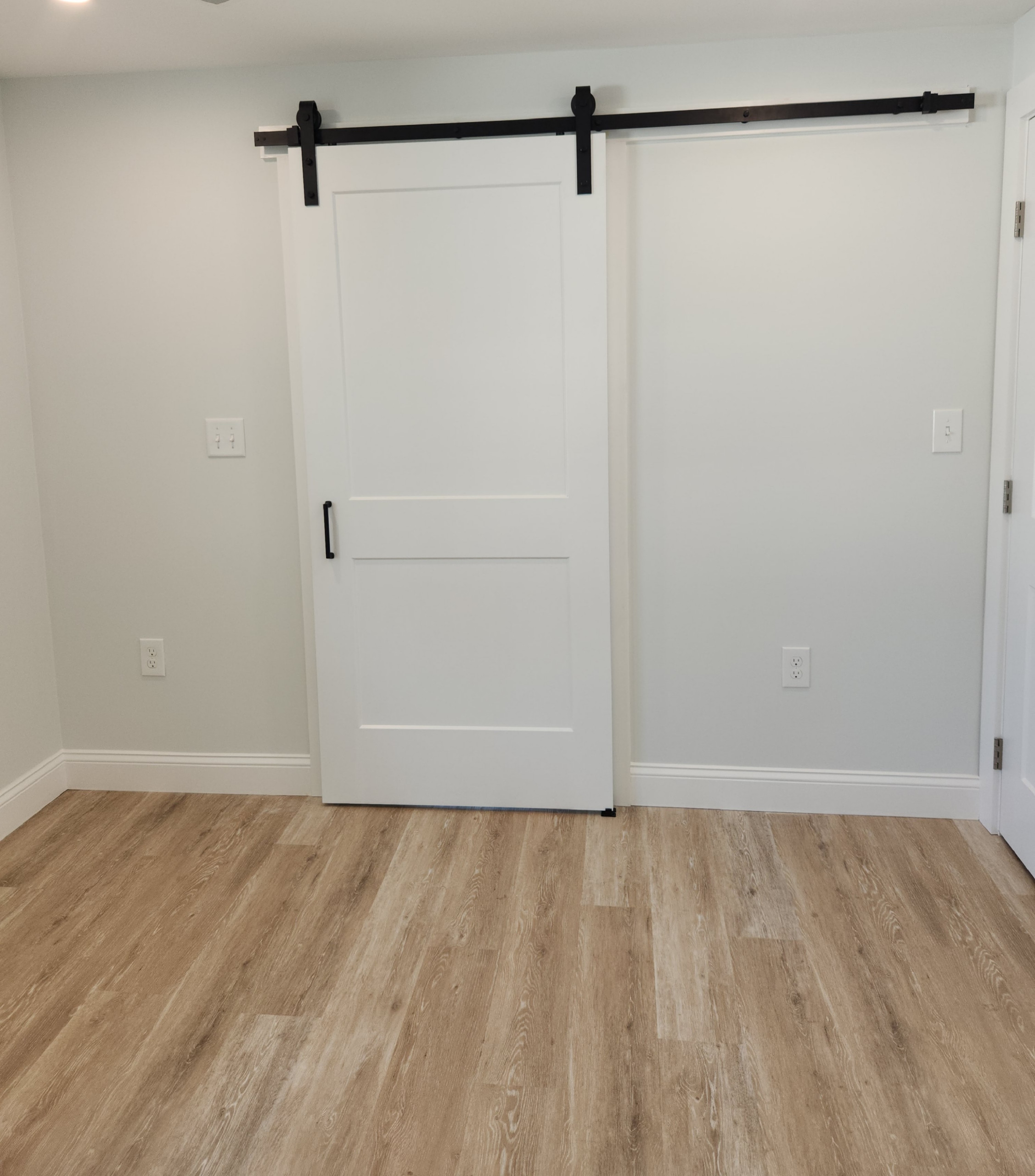 Barn Door and Hardware