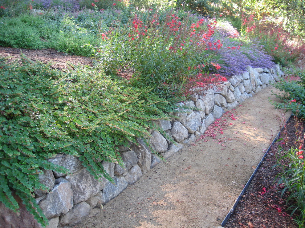 Inspiration for a mid-sized traditional sloped partial sun garden for summer in San Francisco with decomposed granite.